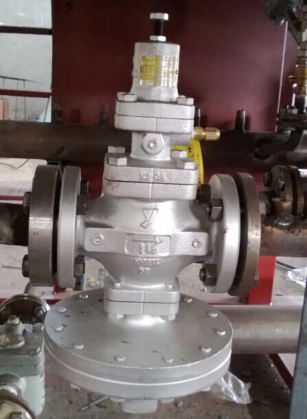 China Polystyrene Making Machine